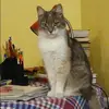 Отзыв от Лариса Черная